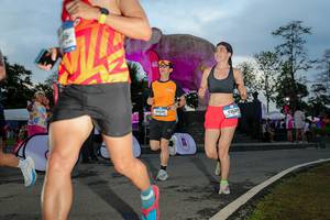 BIB: 
                            <button type="button" onclick="openModal(26529474)" class="btn btn-primary btn-sm float-right btn-popup" data-toggle="modal" data-target=".modal-high-quality">
                        <i class="fas fa-shopping-cart"></i> Add to Cart
                    </button>
                                            <button type="button" onclick="isThisMe(26529474, true)" class="btn btn-success btn-sm float-right btn-popup btn-isme hidden" data-toggle="tooltip" data-placement="bottom" title="นี่คือรูปของคุณใช่ไหม คลิกที่นี่เพื่อเอาเข้าอัลบั้ม">
                        <i class="fas fa-plus"></i> Add to album
                    </button>
                    <button type="button" onclick="isThisMe(26529474, false)" class="btn btn-warning btn-sm float-right btn-popup btn-isnotme hidden">
                        <i class="fas fa-ban"></i> Remove from album
                    </button>